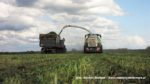 IS IMG 0026 150x84 Żyto na kiszonkę   Claas Jaguar 950, John Deere 7830, New Holland T8.360, TM120 ? FOTO