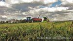 IS IMG 0033 2 150x84 Żyto na kiszonkę   Claas Jaguar 950, John Deere 7830, New Holland T8.360, TM120 ? FOTO