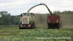 IS IMG 0039 150x84 Żyto na kiszonkę   Claas Jaguar 950, John Deere 7830, New Holland T8.360, TM120 ? FOTO