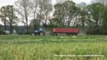 IS IMG 0044 150x84 Żyto na kiszonkę   Claas Jaguar 950, John Deere 7830, New Holland T8.360, TM120 ? FOTO