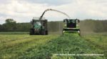 IS IMG 0045 150x84 Żyto na kiszonkę   Claas Jaguar 950, John Deere 7830, New Holland T8.360, TM120 ? FOTO
