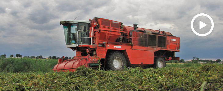 Kombajny BMCH groszekl zniwa 2020 film John Deere 6930 + Rauch Axis, John Deere 6155M i JCB i wiosenne nawozy   FOTO