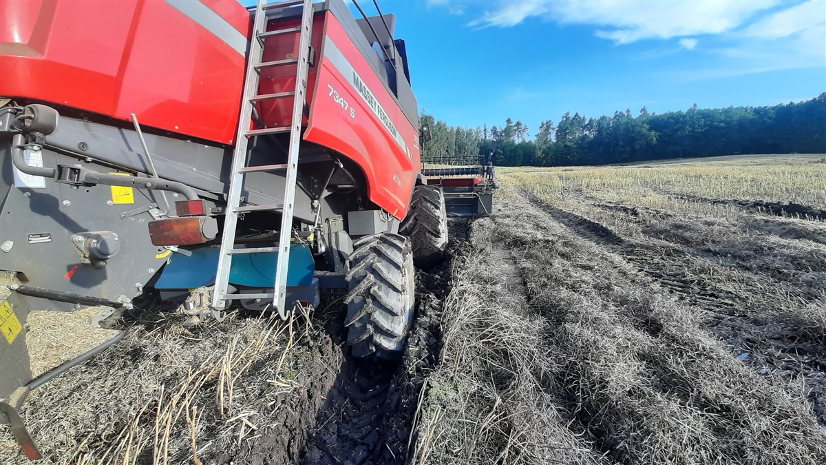 115932566 3315913338470276 7779261204299121827 n Żyto na kiszonkę   John Deere 6110 RC z zgrabiarką Lely Hibiscus (FOTO)