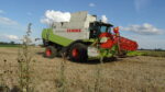 DSC04700 150x84 Żniwa 2020   3x Claas Lexion i zadyma w rzepaku   FOTO