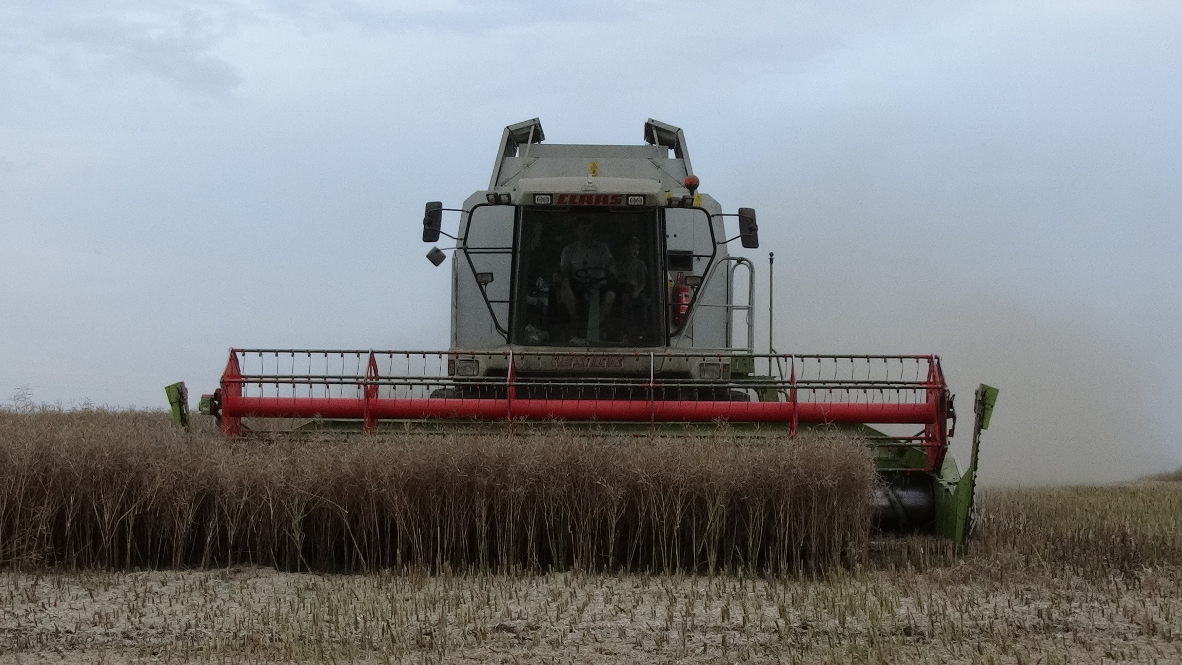 DSC04835 Żyto na kiszonkę   John Deere 6110 RC z zgrabiarką Lely Hibiscus (FOTO)