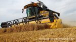 IS DSCF9019 150x84 Polska premiera kombajnu New Holland CH 7.70   FOTO