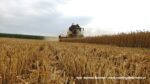 IS DSCF9034 150x84 Polska premiera kombajnu New Holland CH 7.70   FOTO