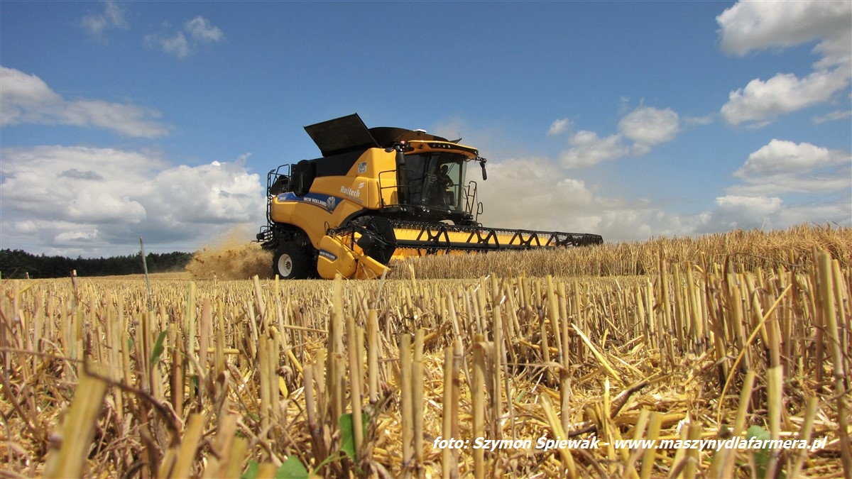 IS IMG 0203 Żyto na kiszonkę   John Deere 6110 RC z zgrabiarką Lely Hibiscus (FOTO)