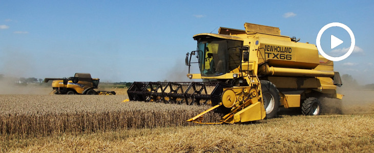 New Holland CX TX zniwa 2020 film CLAAS LEXION 6800 w jęczmieniu – pokazy w Agro Land   FOTO