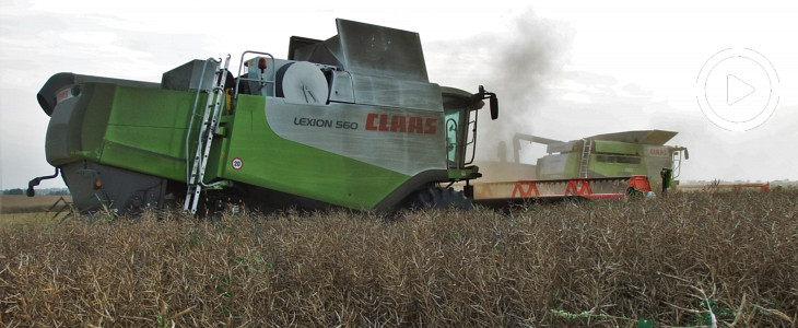 Żniwa Claas Lexion John Deere Mojzesowicz 2020 film Żniwa 2020   Kolejne gospodarstwa ruszają w pole (VIDEO)