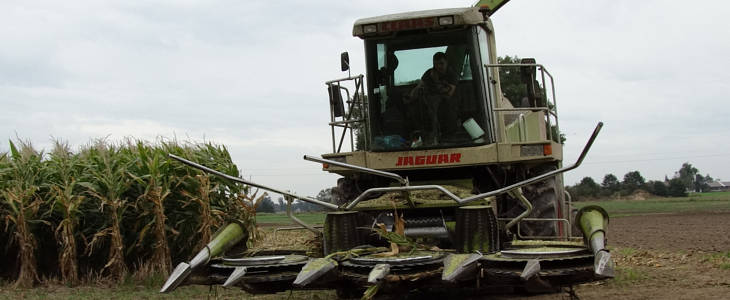 Claas Jaguar John Deere ZTS Zetor kukurydza 2020 film Kukurydza 2019 – wielka akcja na Kujawach – WIDEO