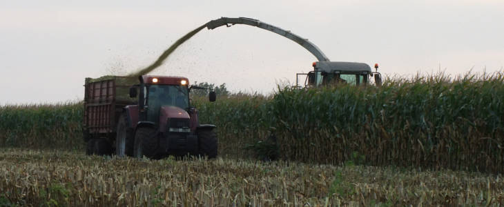 Claas Jaguar 870 Case Zetor kukurydza 2020 film Siew grochu w CGFP: w polu John Deere 7310R + Kverneland U drill 6000