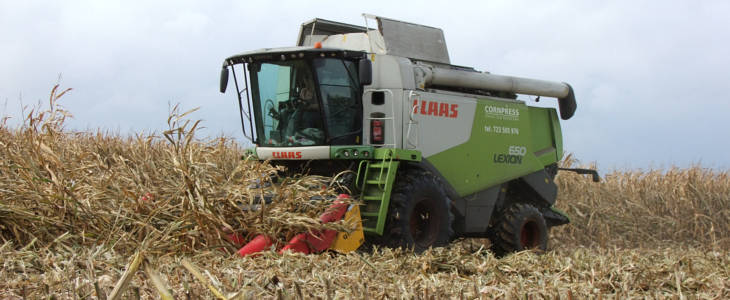 Claas Lexion 650 kukurydza 2020 film Claas Lexion 560 i 760 TT oraz John Deere 9R i 6R czyli żniwa 2020 w GR Mojzesowicz   VIDEO