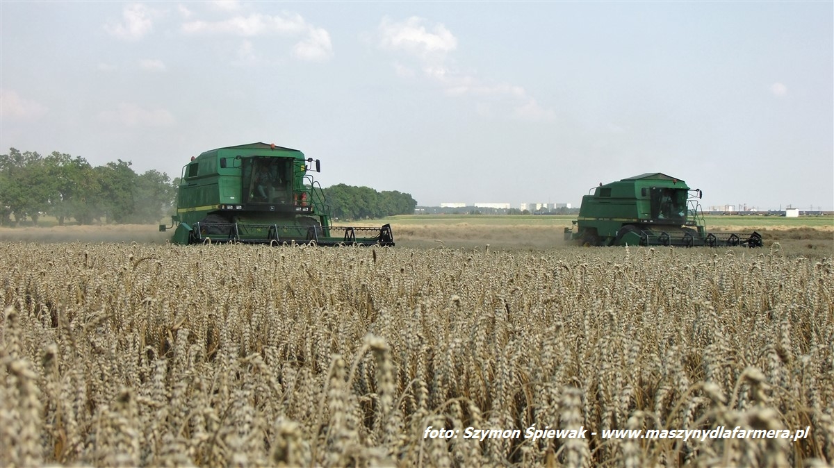 IS DSCF9174 Żniwa 2019   5 kombajnów w polu, John Deere i New Holland   FOTO