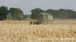 IS DSCF9245 150x84 Żniwa na zielono ? w polu John Deere 2266, 2264, 2066   FOTO