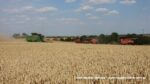 IS DSCF9632 150x84 Żniwa 2020 w CGFP Wojnowo z kombajnami John Deere 790i oraz Case IH 9240, 8240, 8230   FOTO
