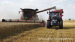 IS DSCF9640 150x84 Żniwa 2020 w CGFP Wojnowo z kombajnami John Deere 790i oraz Case IH 9240, 8240, 8230   FOTO