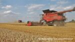 IS DSCF9641 150x84 Żniwa 2020 w CGFP Wojnowo z kombajnami John Deere 790i oraz Case IH 9240, 8240, 8230   FOTO