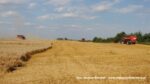IS DSCF9643 150x84 Żniwa 2020 w CGFP Wojnowo z kombajnami John Deere 790i oraz Case IH 9240, 8240, 8230   FOTO