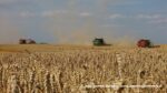 IS DSCF9650 150x84 Żniwa 2020 w CGFP Wojnowo z kombajnami John Deere 790i oraz Case IH 9240, 8240, 8230   FOTO