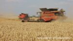 IS DSCF9652 150x84 Żniwa 2020 w CGFP Wojnowo z kombajnami John Deere 790i oraz Case IH 9240, 8240, 8230   FOTO