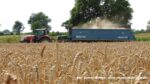 IS DSCF9654 150x84 Żniwa 2020 w CGFP Wojnowo z kombajnami John Deere 790i oraz Case IH 9240, 8240, 8230   FOTO