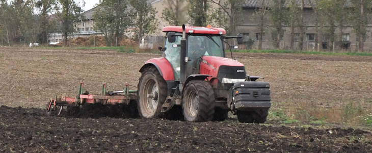 Case Puma 195 CVX Unia kos film Siew buraków w RZD Minikowo   w polu Case IH Puma 145 i 18 rzędów od Kverneland (VIDEO)