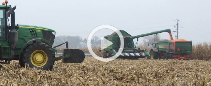 John Deere W650 w kukurydzy film Zbiór cebuli kombajnem Amac wraz z John Deere 6155M, 6930, 6420 (WIDEO)