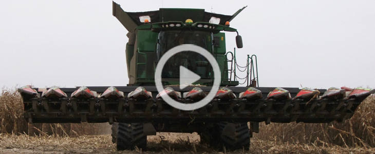 John Deere S790i w kukurydzy CGFP film Z gospodarstwa Mariusza: siew pszenicy zestawem Case 1255XL + Stegsted