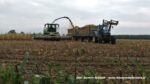 IS DSCF0091 150x84 Kukurydza 2020 ? Claas Jaguar 950 i 1100 KM w transporcie ? FOTO