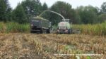 IS DSCF0128 150x84 Kukurydza 2020 ? Claas Jaguar 950 i 1100 KM w transporcie ? FOTO