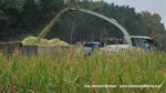 IS DSCF0131 150x84 Kukurydza 2020 ? Claas Jaguar 950 i 1100 KM w transporcie ? FOTO