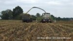 IS DSCF0140 150x84 Kukurydza 2020 ? Claas Jaguar 950 i 1100 KM w transporcie ? FOTO