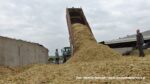 IS DSCF0168 150x84 Kukurydza 2020 ? Claas Jaguar 950 i 1100 KM w transporcie ? FOTO