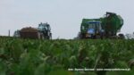 IS DSCF0262 150x84 New Holland TD80D i STOLL V202   FOTO