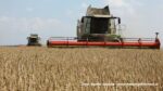 IS DSCF9441 150x84 Żniwa 2020 w Kom Rol Kobylniki. Claas Lexion 480, 3x 580 oraz niezastąpione Ursusy i Stary ? FOTO