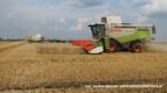 IS DSCF9442 150x84 Żniwa 2020 w Kom Rol Kobylniki. Claas Lexion 480, 3x 580 oraz niezastąpione Ursusy i Stary ? FOTO