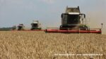IS DSCF9448 150x84 Żniwa 2020 w Kom Rol Kobylniki. Claas Lexion 480, 3x 580 oraz niezastąpione Ursusy i Stary ? FOTO
