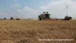 IS DSCF9453 150x84 Żniwa 2020 w Kom Rol Kobylniki. Claas Lexion 480, 3x 580 oraz niezastąpione Ursusy i Stary ? FOTO