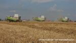 IS DSCF9463 150x84 Żniwa 2020 w Kom Rol Kobylniki. Claas Lexion 480, 3x 580 oraz niezastąpione Ursusy i Stary ? FOTO