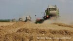 IS DSCF9465 150x84 Żniwa 2020 w Kom Rol Kobylniki. Claas Lexion 480, 3x 580 oraz niezastąpione Ursusy i Stary ? FOTO