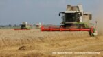 IS DSCF9478 150x84 Żniwa 2020 w Kom Rol Kobylniki. Claas Lexion 480, 3x 580 oraz niezastąpione Ursusy i Stary ? FOTO