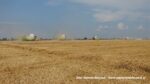 IS DSCF9479 150x84 Żniwa 2020 w Kom Rol Kobylniki. Claas Lexion 480, 3x 580 oraz niezastąpione Ursusy i Stary ? FOTO