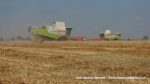 IS DSCF9483 150x84 Żniwa 2020 w Kom Rol Kobylniki. Claas Lexion 480, 3x 580 oraz niezastąpione Ursusy i Stary ? FOTO