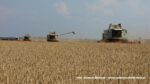 IS DSCF9498 150x84 Żniwa 2020 w Kom Rol Kobylniki. Claas Lexion 480, 3x 580 oraz niezastąpione Ursusy i Stary ? FOTO