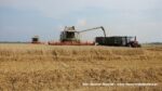 IS DSCF9501 150x84 Żniwa 2020 w Kom Rol Kobylniki. Claas Lexion 480, 3x 580 oraz niezastąpione Ursusy i Stary ? FOTO