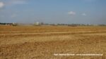 IS DSCF9505 150x84 Żniwa 2020 w Kom Rol Kobylniki. Claas Lexion 480, 3x 580 oraz niezastąpione Ursusy i Stary ? FOTO