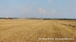 IS DSCF9513 150x84 Żniwa 2020 w Kom Rol Kobylniki. Claas Lexion 480, 3x 580 oraz niezastąpione Ursusy i Stary ? FOTO
