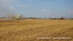 IS DSCF9515 150x84 Żniwa 2020 w Kom Rol Kobylniki. Claas Lexion 480, 3x 580 oraz niezastąpione Ursusy i Stary ? FOTO