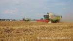 IS DSCF9516 150x84 Żniwa 2020 w Kom Rol Kobylniki. Claas Lexion 480, 3x 580 oraz niezastąpione Ursusy i Stary ? FOTO